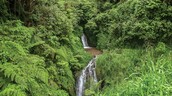 Advierten que el capital natural dominicano sigue subvalorado