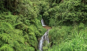Advierten que el capital natural dominicano sigue subvalorado