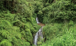 Advierten que el capital natural dominicano sigue subvalorado