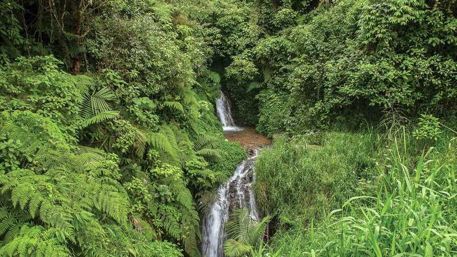Advierten que el capital natural dominicano sigue subvalorado