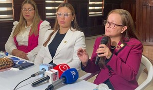 Santiago registra un promedio de 400 denuncias mensuales por violencia de g&eacute;nero