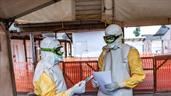 OMS ensayar&aacute; dos posibles tratamientos contra el &eacute;bola Bundibugyo en la RDC