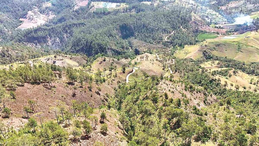 Las remotas lomas de Ocoa se enfrentan al espejo del narcocultivo Las remotas lomas de Ocoa se enfrentan al espejo del narcocultivo