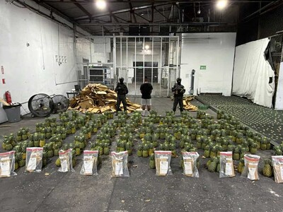 Hallan cocaína en cargamento de piña que sería enviado a Afganistán