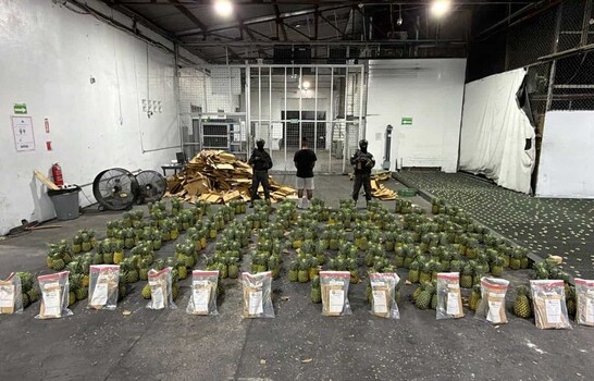 Pi&ntilde;as con sorpresa: hallan coca&iacute;na en cargamento que ser&iacute;a enviado a Afganist&aacute;n