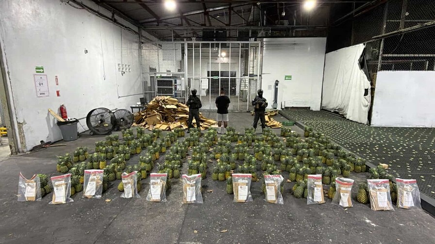 Piñas con sorpresa: hallan cocaína en cargamento que sería enviado a Afganistán Piñas con sorpresa: hallan cocaína en cargamento que sería enviado a Afganistán