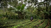 Iniciativa clim&aacute;tica busca movilizar US$90 millones para cuencas y comunidades de RD
