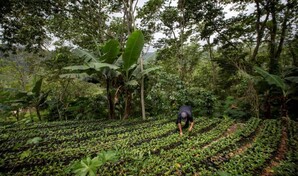 Iniciativa clim&aacute;tica busca movilizar US$90 millones para cuencas y comunidades de RD