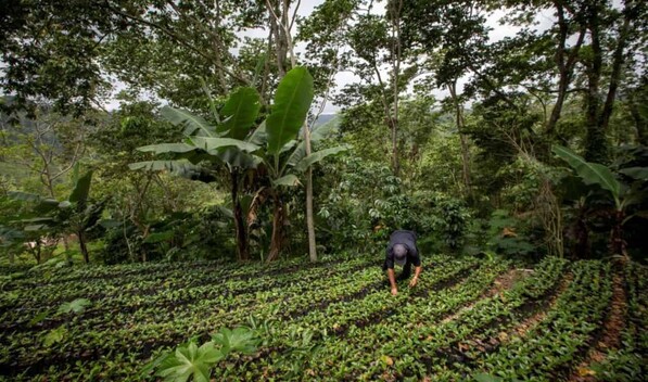 Iniciativa clim&aacute;tica busca movilizar US$90 millones para cuencas y comunidades de RD