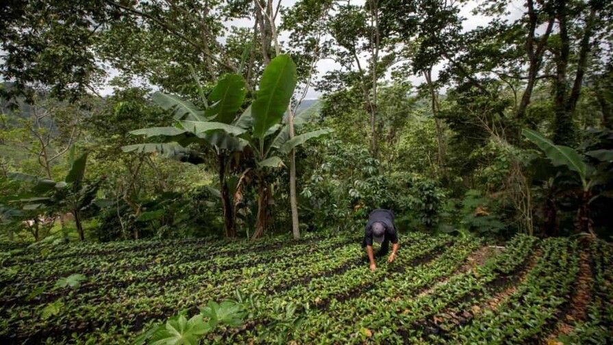 Iniciativa clim&aacute;tica busca movilizar US$90 millones para cuencas y comunidades de RD
