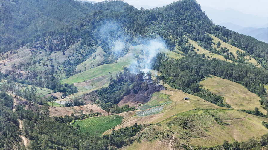 &iquest;Ocoa o Azua ? La disputa territorial tras el hallazgo de mayor plantaci&oacute;n de marihuana en RD