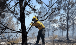 Incendio en Sierra de Bahoruco est&aacute; controlado un 70 %, asegura Medio Ambiente