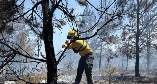 Incendio en Sierra de Bahoruco est&aacute; controlado un 70 %, asegura Medio Ambiente