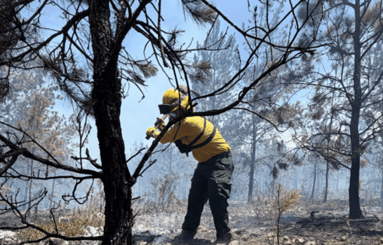 Incendio en Sierra de Bahoruco est&aacute; controlado un 70 %, asegura Medio Ambiente