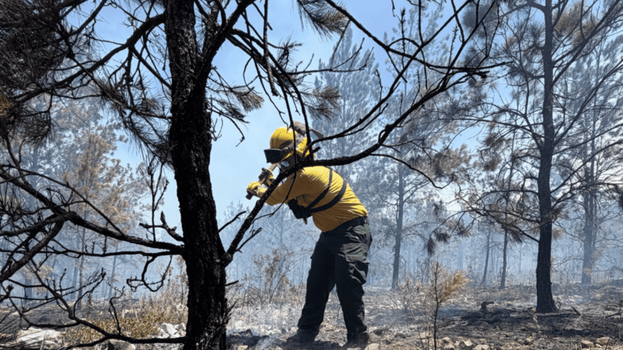 Incendio en Sierra de Bahoruco est&aacute; controlado un 70 %, asegura Medio Ambiente