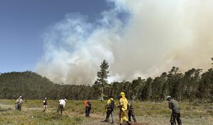 Medio Ambiente mantiene operaciones para controlar incendio en Sierra de Bahoruco