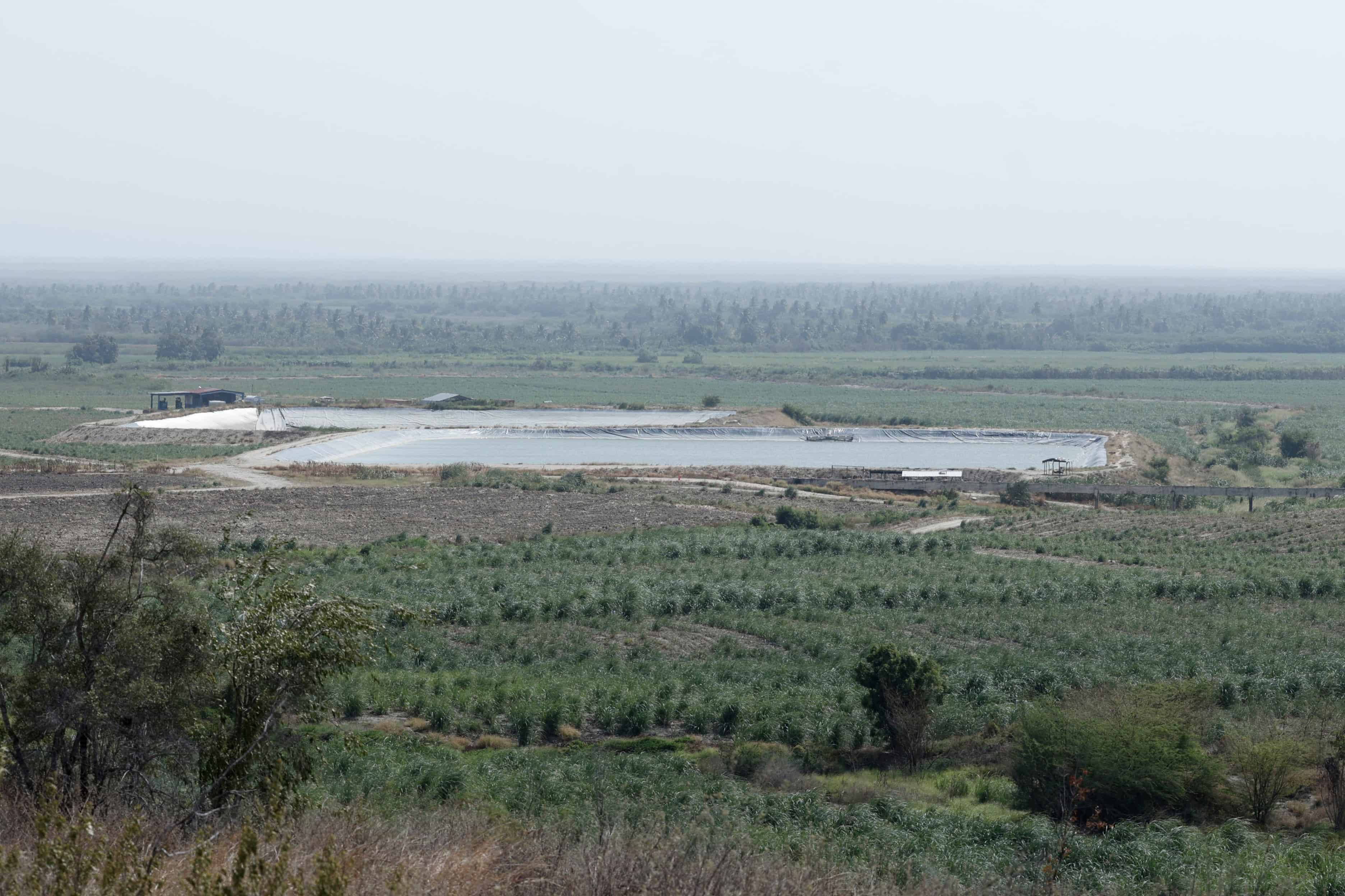 Uno de los tres reservorios de agua que tiene el consorcio para el sistema de riego por goteo. Este reservorio, que forma parte del denominado Proyecto Aguacatico, almacena 50,000 metros cúbicos de agua, ahorrando el recurso en hasta un 30 %.