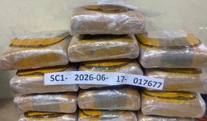 La DNCD ocupa 129 libras de marihuana en una yipeta en el  KM 15 de Azua