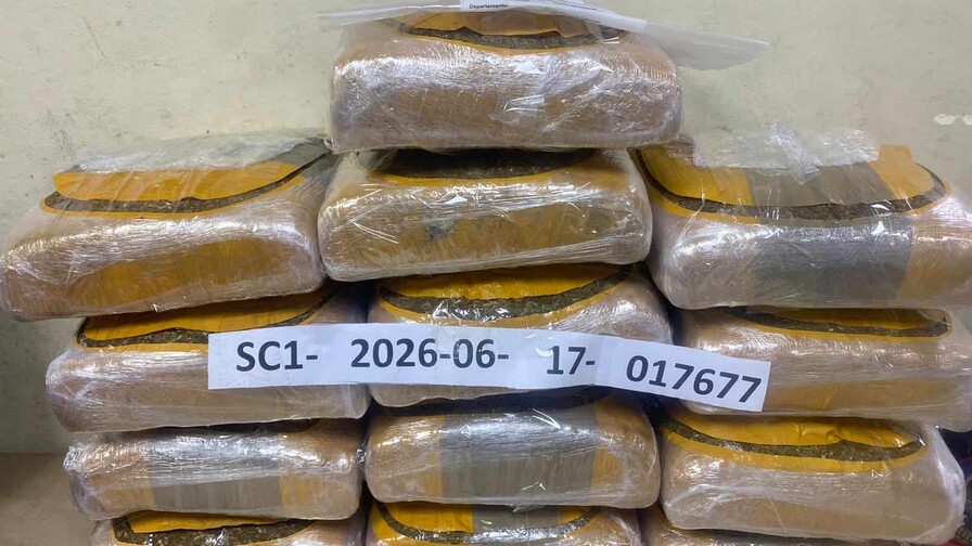 La DNCD ocupa 129 libras de marihuana en una yipeta en el  KM 15 de Azua
