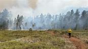 Extinguen incendio forestal en la Sierra de Bahoruco