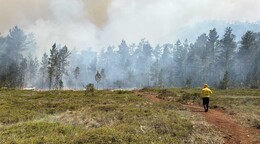Extinguen incendio forestal en la Sierra de Bahoruco