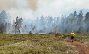 Extinguen incendio forestal en la Sierra de Bahoruco
