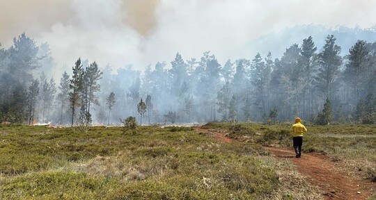 Extinguen incendio forestal en la Sierra de Bahoruco