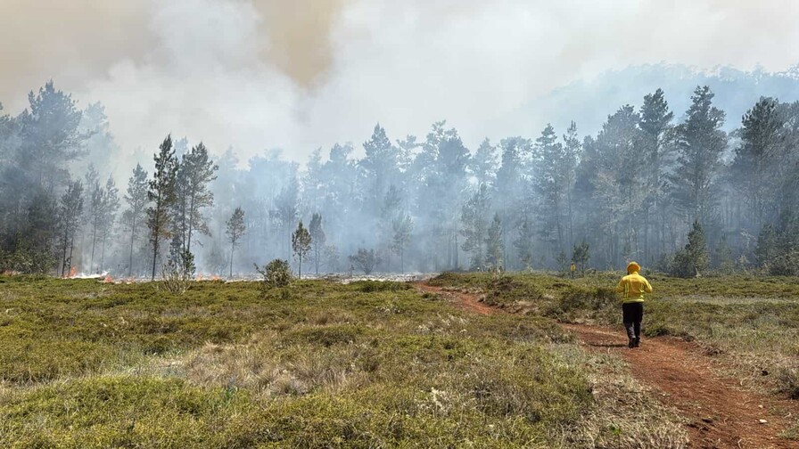Extinguen incendio forestal en la Sierra de Bahoruco Extinguen incendio forestal en la Sierra de Bahoruco