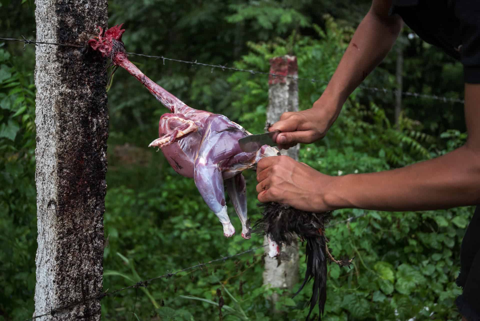 Infografía
