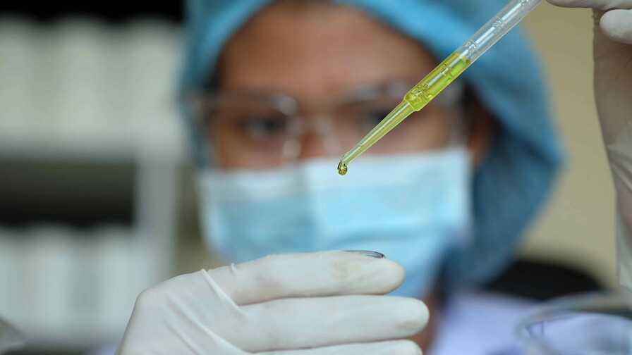 Aclaran un misterio de décadas sobre cómo los parásitos de la malaria invaden las células Aclaran un misterio de décadas sobre cómo los parásitos de la malaria invaden las células