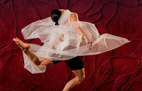 Compa&ntilde;&iacute;a Nacional de Danza Contempor&aacute;nea presenta "Carmes&iacute;" este fin de semana en Bellas Artes