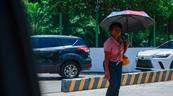 Pronostican cielo soleado y temperaturas de hasta 35 &deg;C este viernes