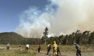 Nuevo incendio afecta a la Sierra de Bahoruco