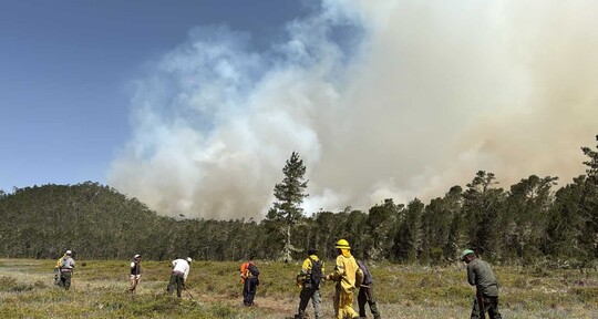Nuevo incendio afecta a la Sierra de Bahoruco