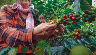 El&iacute;as Pi&ntilde;a: la frontera tambi&eacute;n puede producir futuro