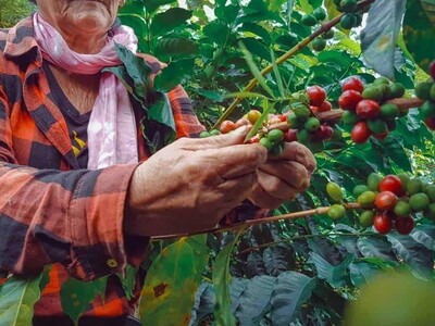 La frontera también puede producir futuro: Elías Piña