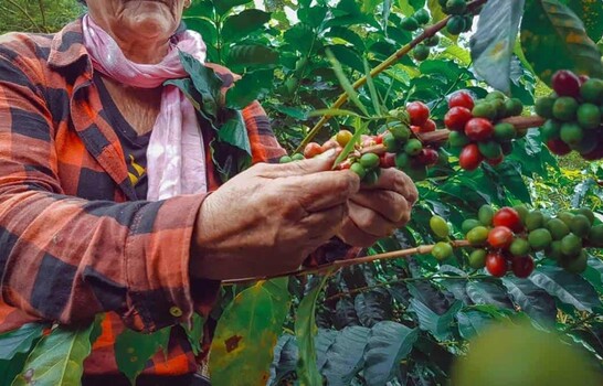 El&iacute;as Pi&ntilde;a: la frontera tambi&eacute;n puede producir futuro
