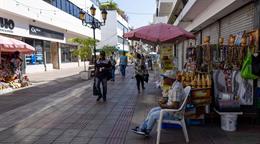 En la Ciudad Colonial hay 1,442 negocios; el 87 % es de capital dominicano, seg&uacute;n censo