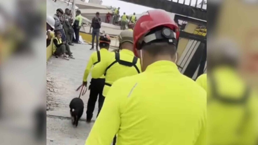 Sigue la evaluación del rescate del niño Fabio en Venezuela nueve días tras la catástrofe Sigue la evaluación del rescate del niño Fabio en Venezuela nueve días tras la catástrofe