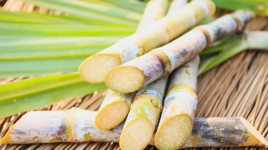 Trapiche, azúcar y raspadura Trapiche, azúcar y raspadura
