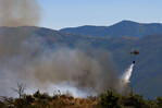 Los incendios queman bosques en Europa atizados por el calor extremo Los incendios queman bosques en Europa atizados por el calor extremo