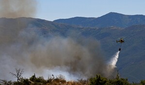 Los incendios queman bosques en Europa atizados por el calor extremo