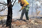 Casi el 8 % del Parque Nacional Sierra de Bahoruco fue impactado por incendios en apenas dos semanas Casi el 8 % del Parque Nacional Sierra de Bahoruco fue impactado por incendios en apenas dos semanas