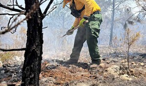 Casi el 8 % del Parque Nacional Sierra de Bahoruco fue impactado por incendios en apenas dos semanas