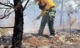 Casi el 8 % del Parque Nacional Sierra de Bahoruco fue impactado por incendios en apenas dos semanas