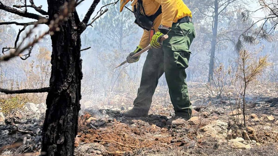 Casi el 8 % del Parque Nacional Sierra de Bahoruco fue impactado por incendios en apenas dos semanas Casi el 8 % del Parque Nacional Sierra de Bahoruco fue impactado por incendios en apenas dos semanas