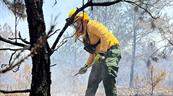Medio Ambiente intensifica vigilancia y operativos ante aumento de incendios forestales