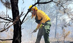 Medio Ambiente intensifica vigilancia y operativos ante aumento de incendios forestales