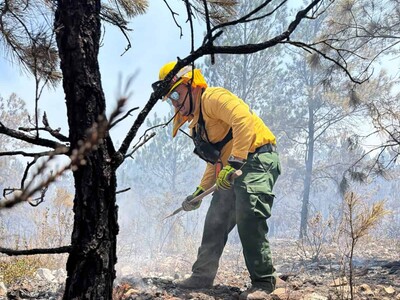 Aumentan vigilancia y operativos por incremento de fuegos forestales