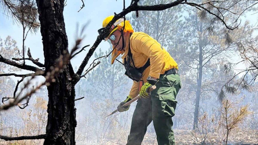 Medio Ambiente intensifica vigilancia y operativos ante aumento de incendios forestales